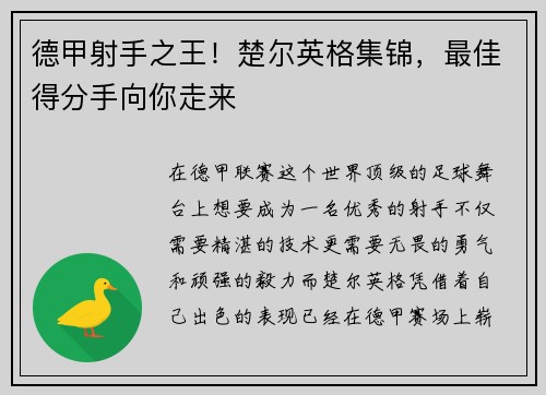 德甲射手之王！楚尔英格集锦，最佳得分手向你走来