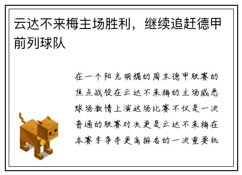 云达不来梅主场胜利，继续追赶德甲前列球队