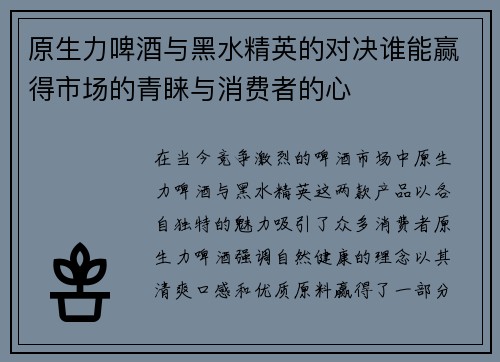原生力啤酒与黑水精英的对决谁能赢得市场的青睐与消费者的心