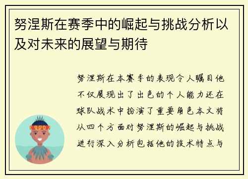 努涅斯在赛季中的崛起与挑战分析以及对未来的展望与期待