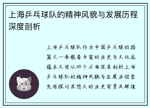 上海乒乓球队的精神风貌与发展历程深度剖析