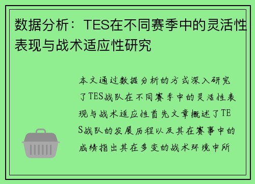 数据分析：TES在不同赛季中的灵活性表现与战术适应性研究