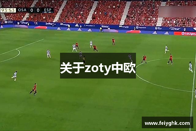 关于zoty中欧